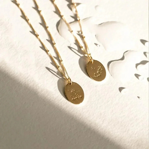 Pisces Zodiac Minimalist Charm Oval Disc Necklace - Picture 7 of 11